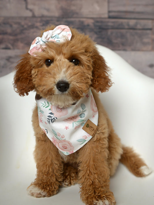 Pastel Rose Dog Bandana