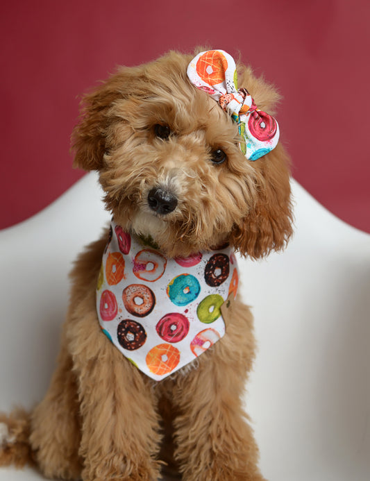 Donuts Dog Bandana