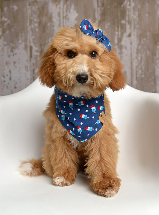 American Popsicles Dog Bandana