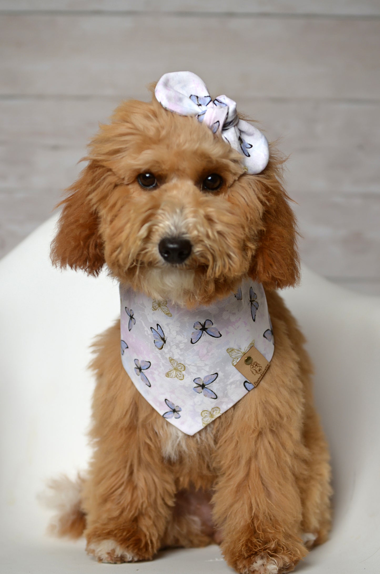 Butterfly Dog Bandana