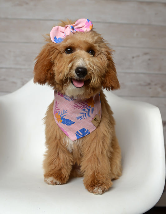 Tropical Floral Dog Bandana