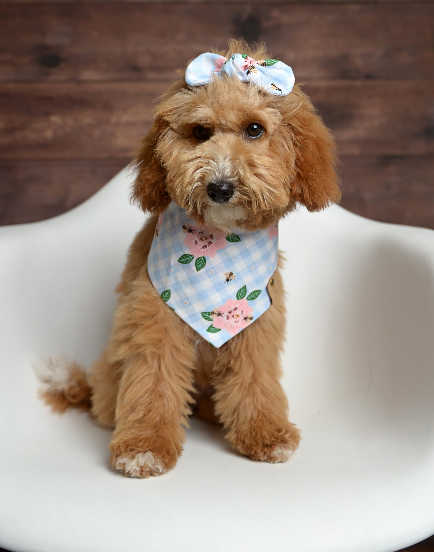 Blue Floral Gingham Dog Bandana