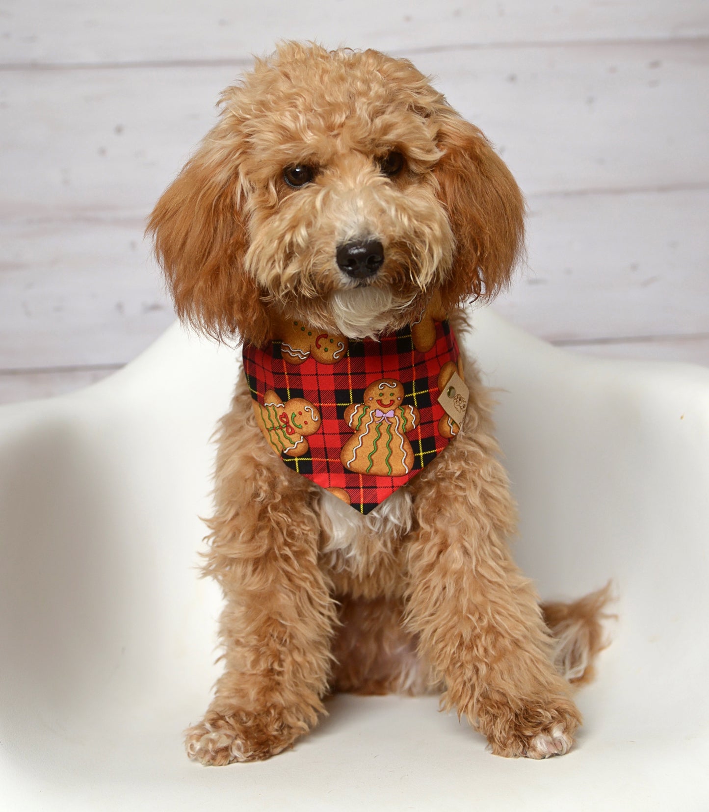 Gingerbread Plaid Dog Bandana