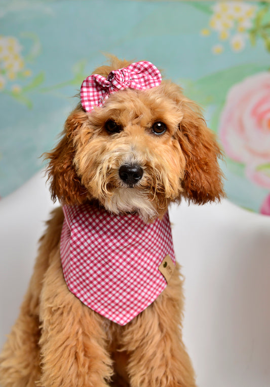 Rose Gingham Dog Bandana