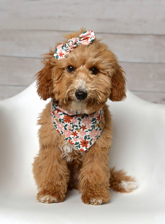 Cottage Floral Dog Bandana