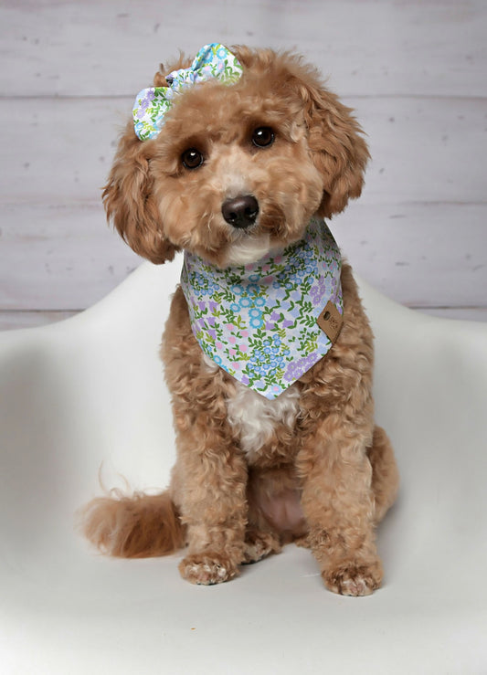 Isla Dog Bandana