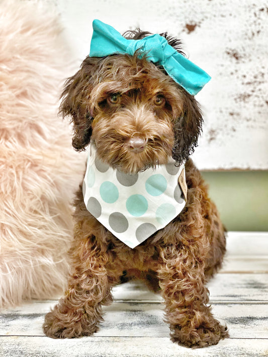 Light Teal Polka Dog Bandanas