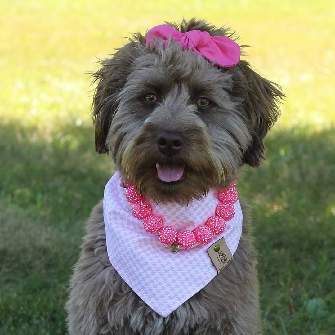 Pink Houndstooth Dog Bandana