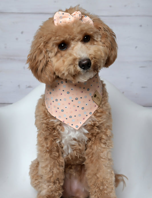 Peachy Paws Dog Bandana