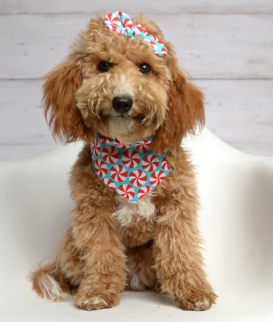 Peppermint Teal Dog Bandana