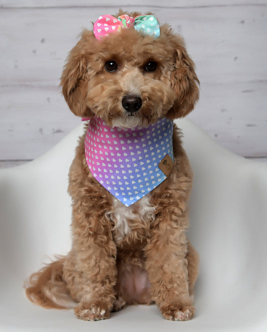 Rainbow Hearts Dog Bandana