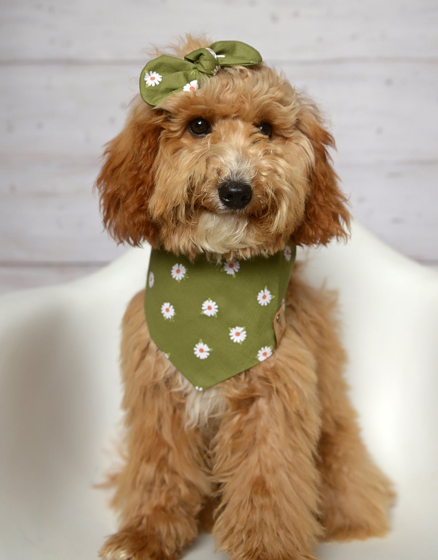 Olive Green Floral Dog Bandana