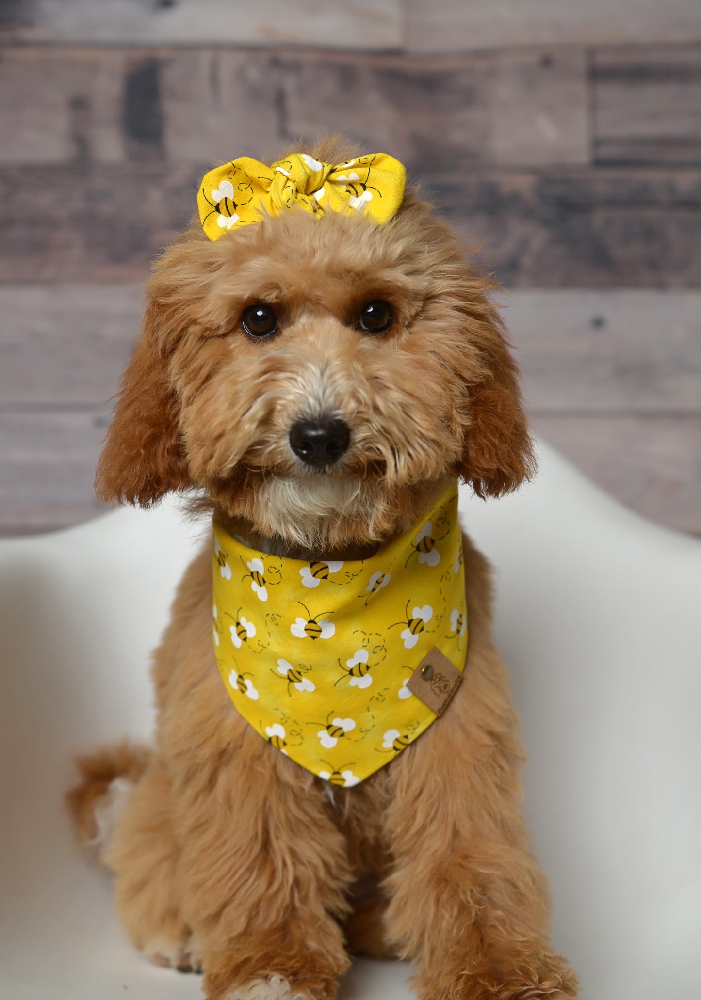 Bees Dog Bandana