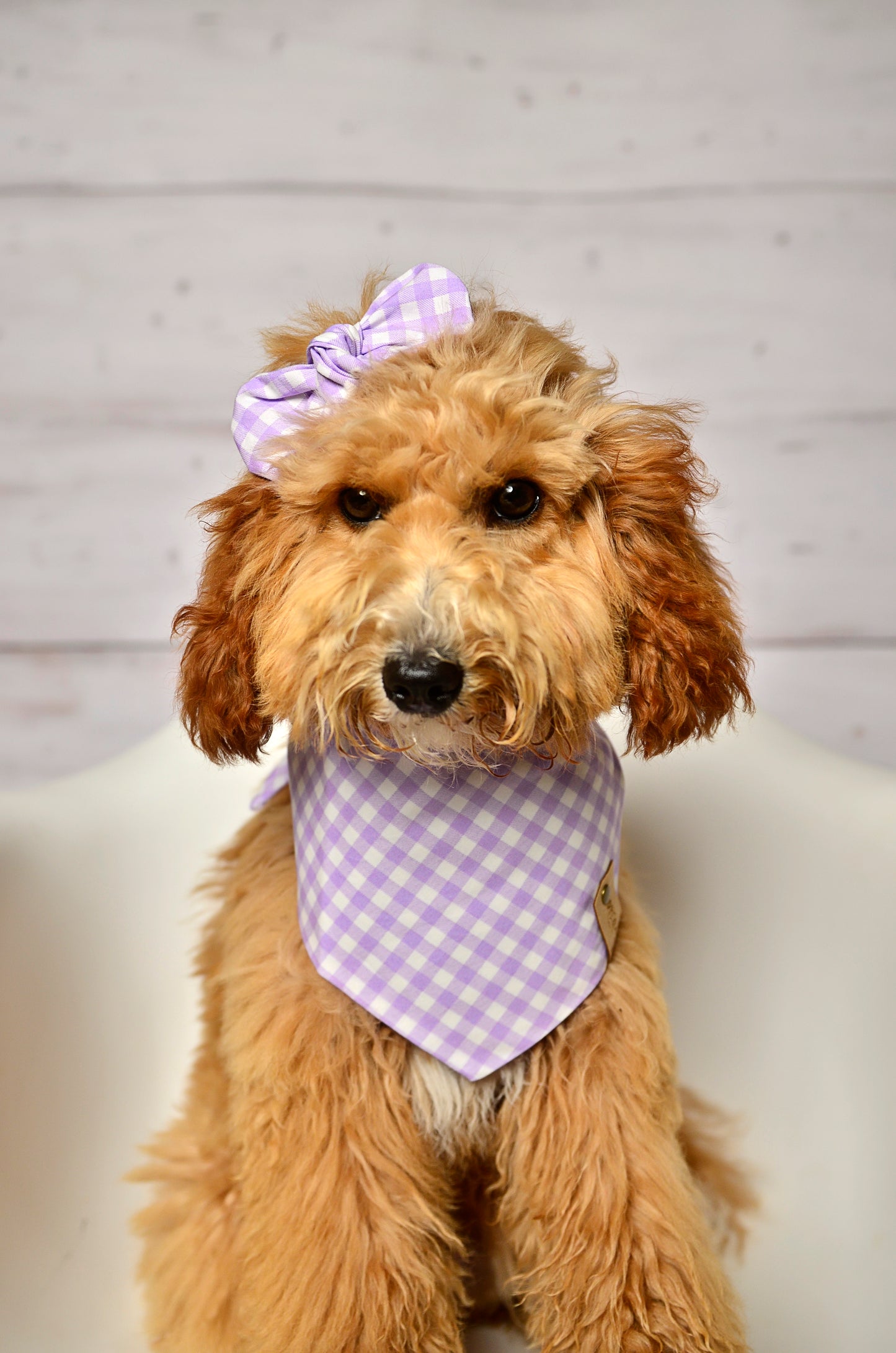 Lavender Gingham Check Dog Bandana