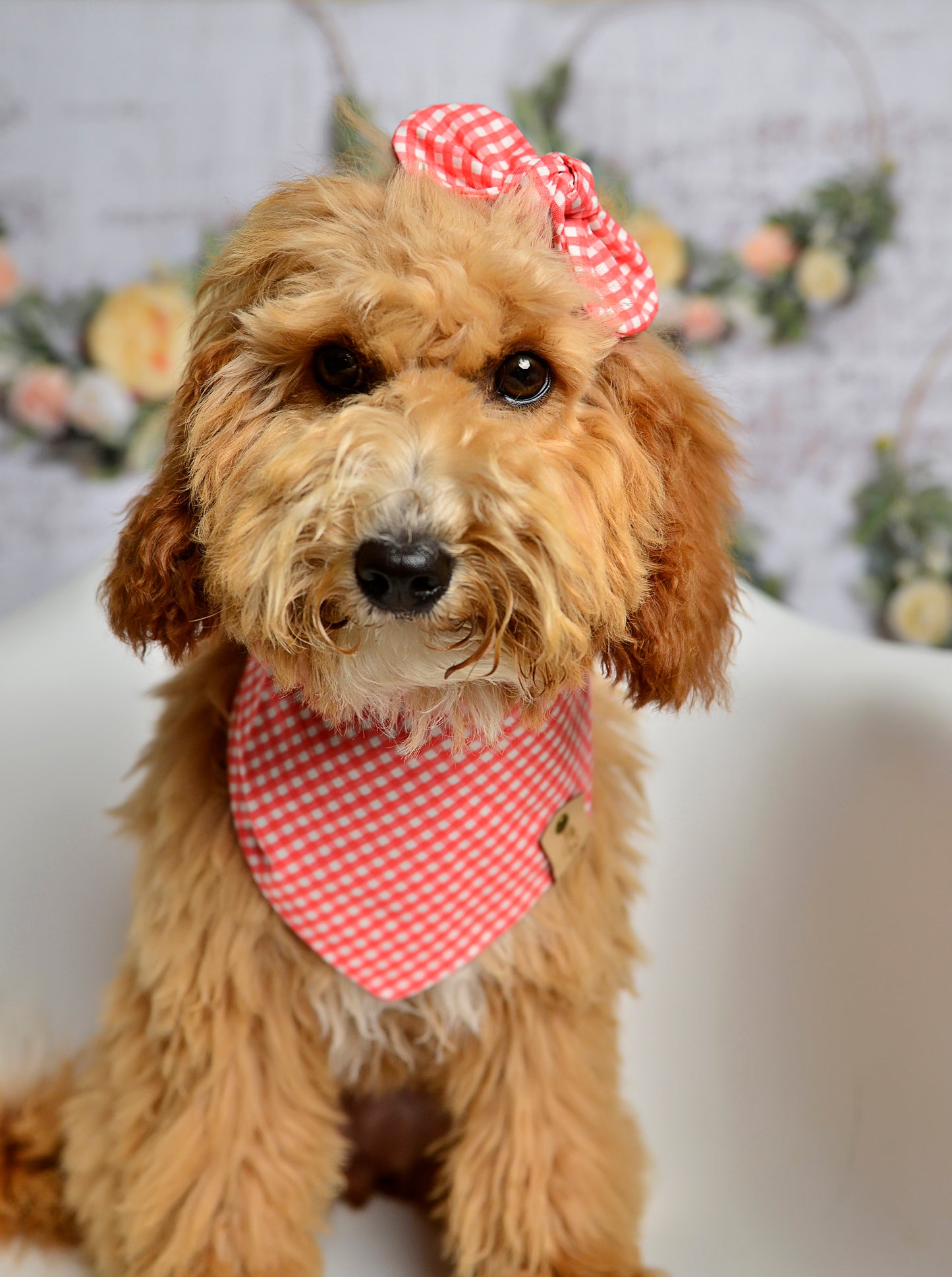 Salmon Gingham Dog Bandana