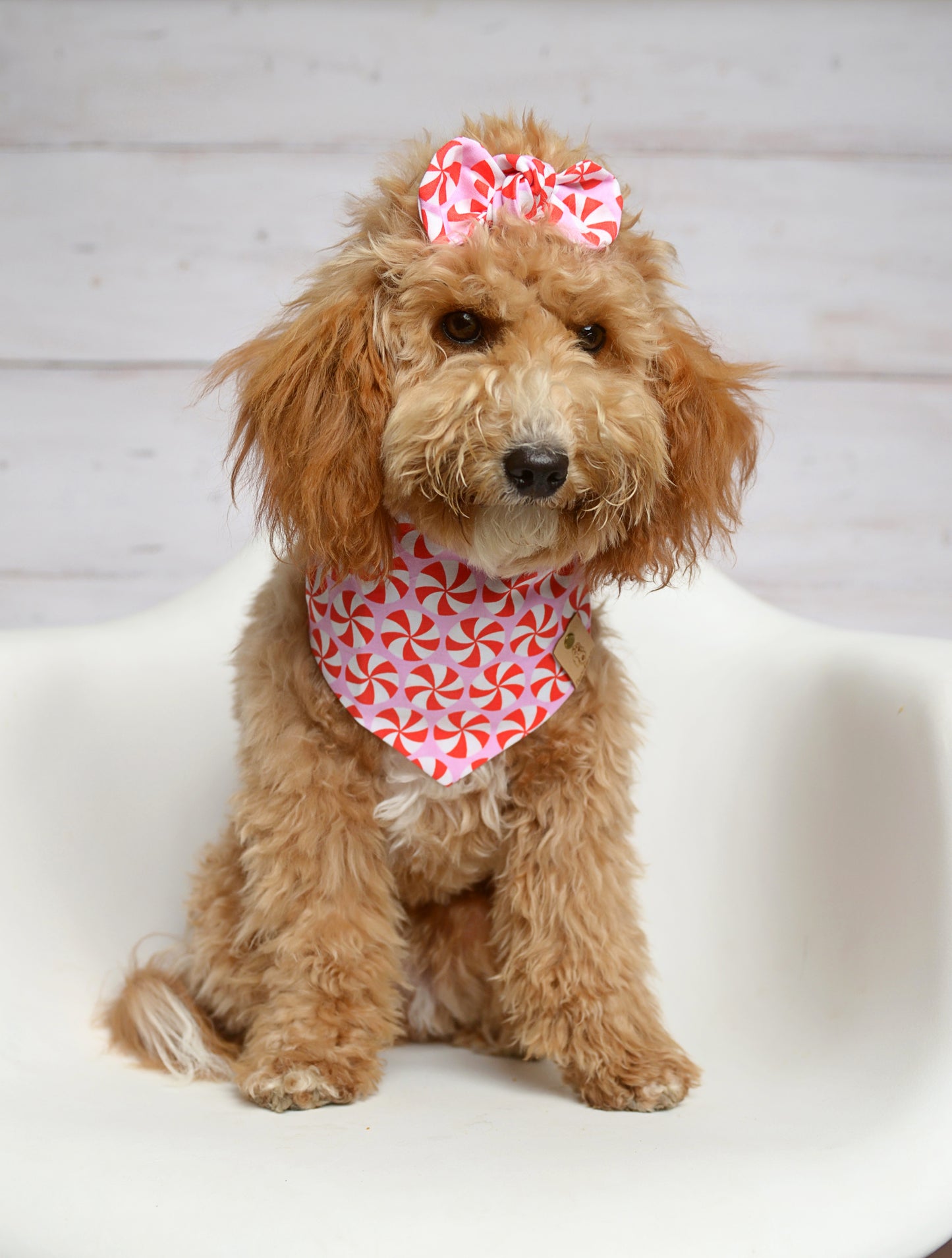 Peppermint Pink Dog Bandana