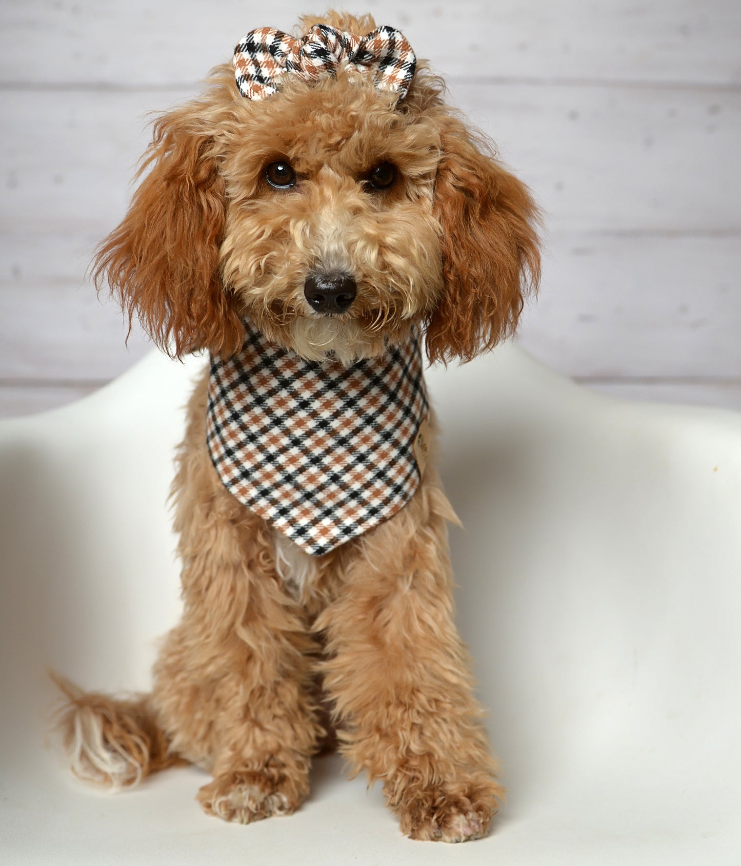 Caramel Latte Dog Bandana - Flannel