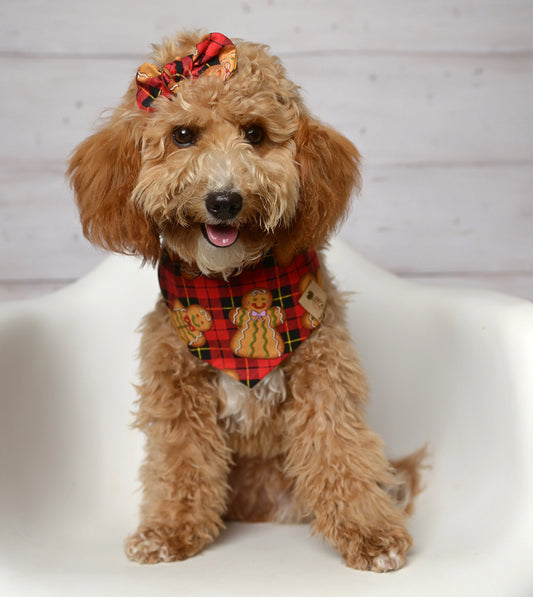 Gingerbread Plaid Dog Bandana