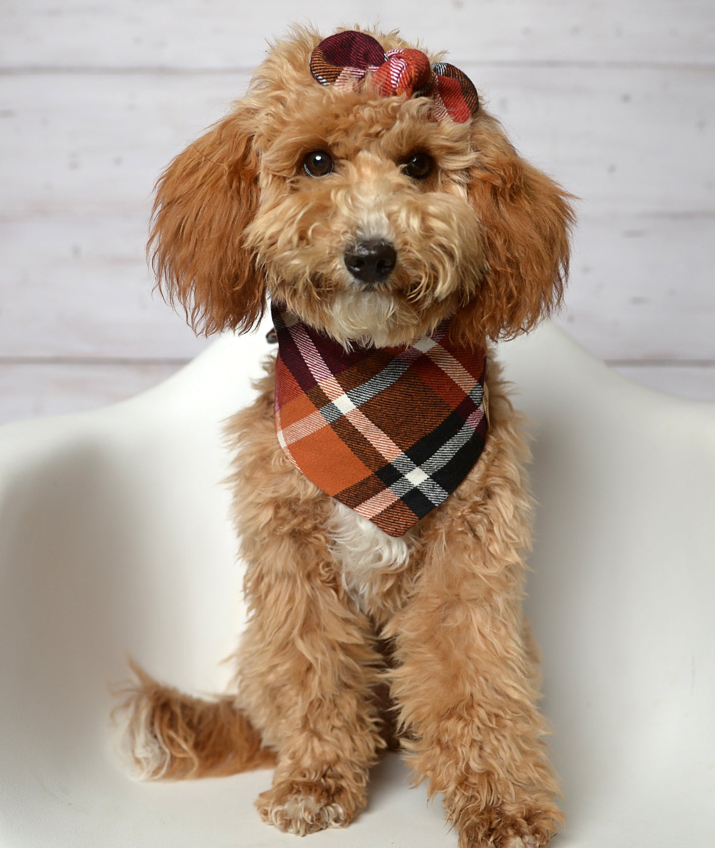 Burgundy Rust Plaid Dog Bandana - Flannel