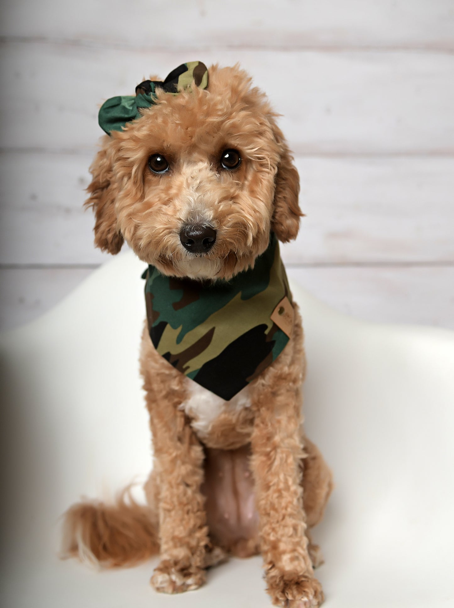 Camo Dog Bandana