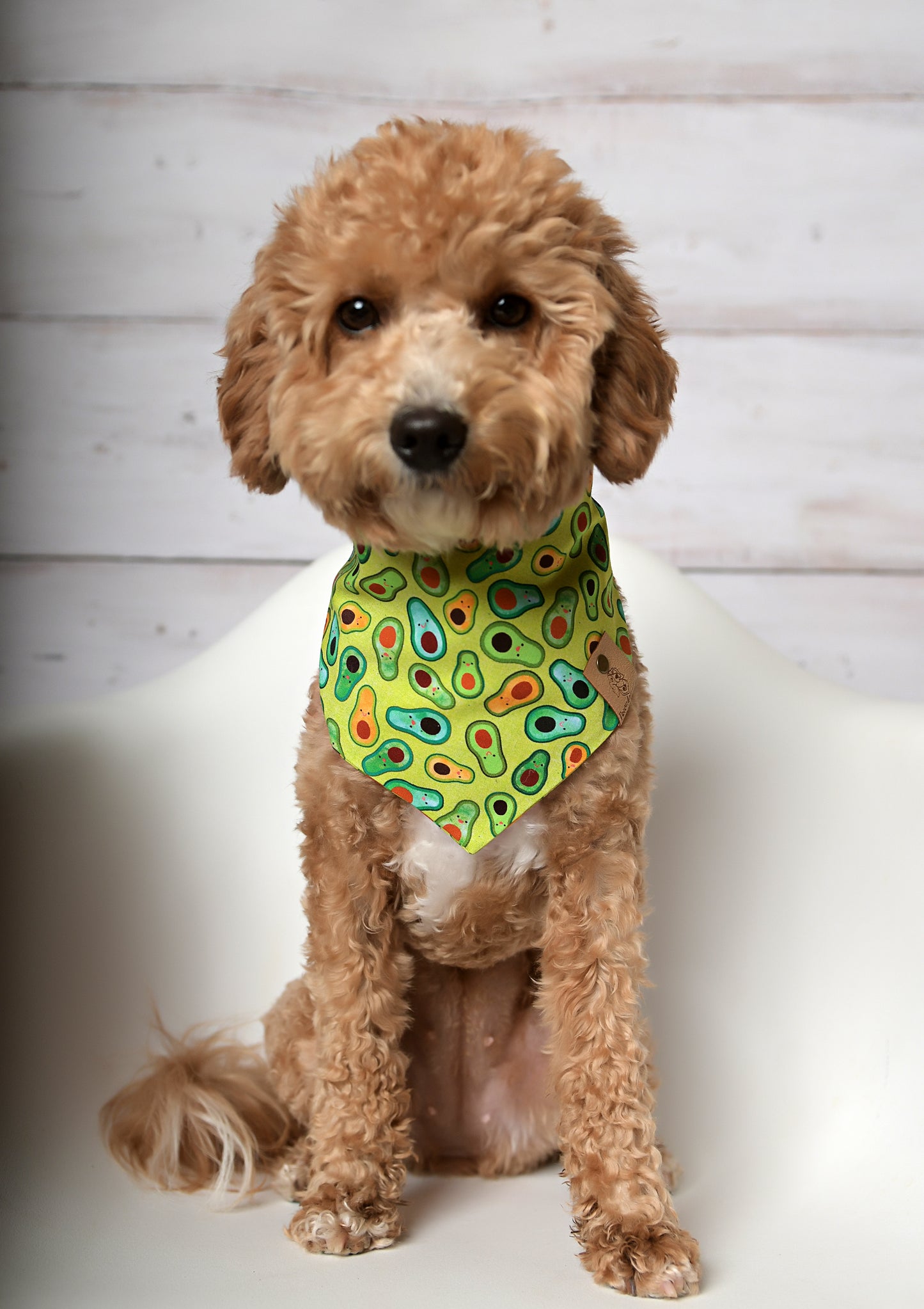 Avocado Dog Bandana