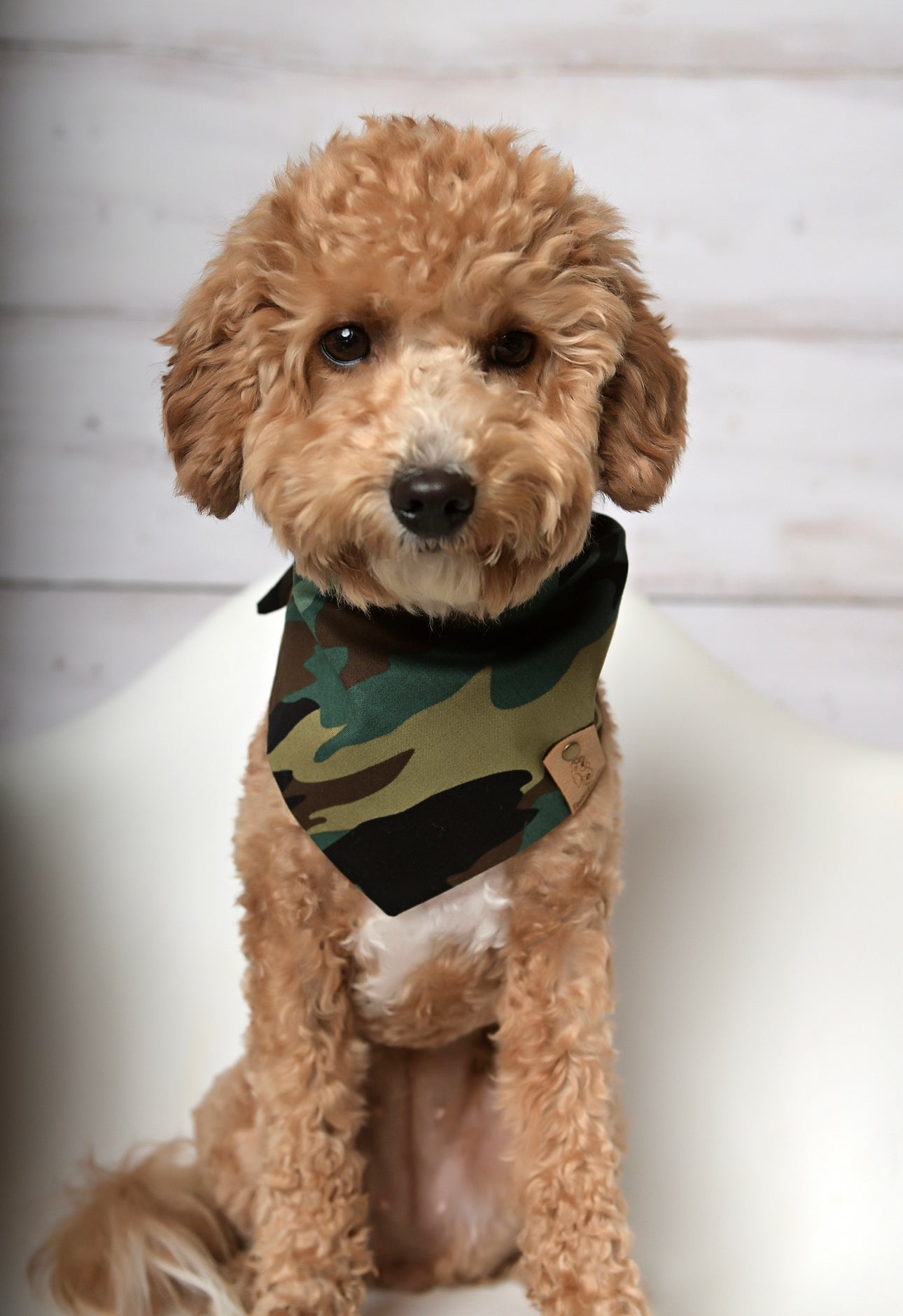 Camo Dog Bandana