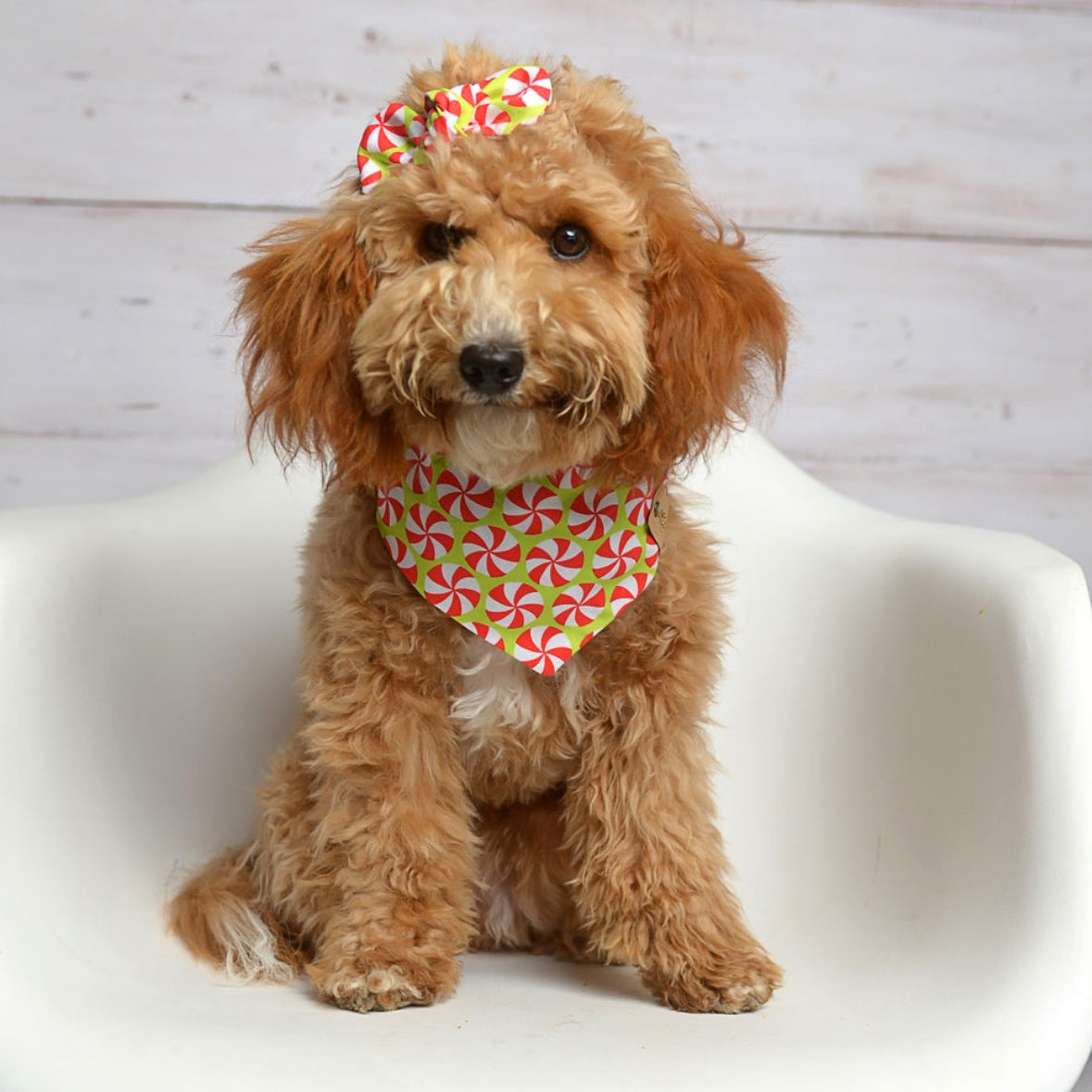 Peppermint Green Dog Bandana