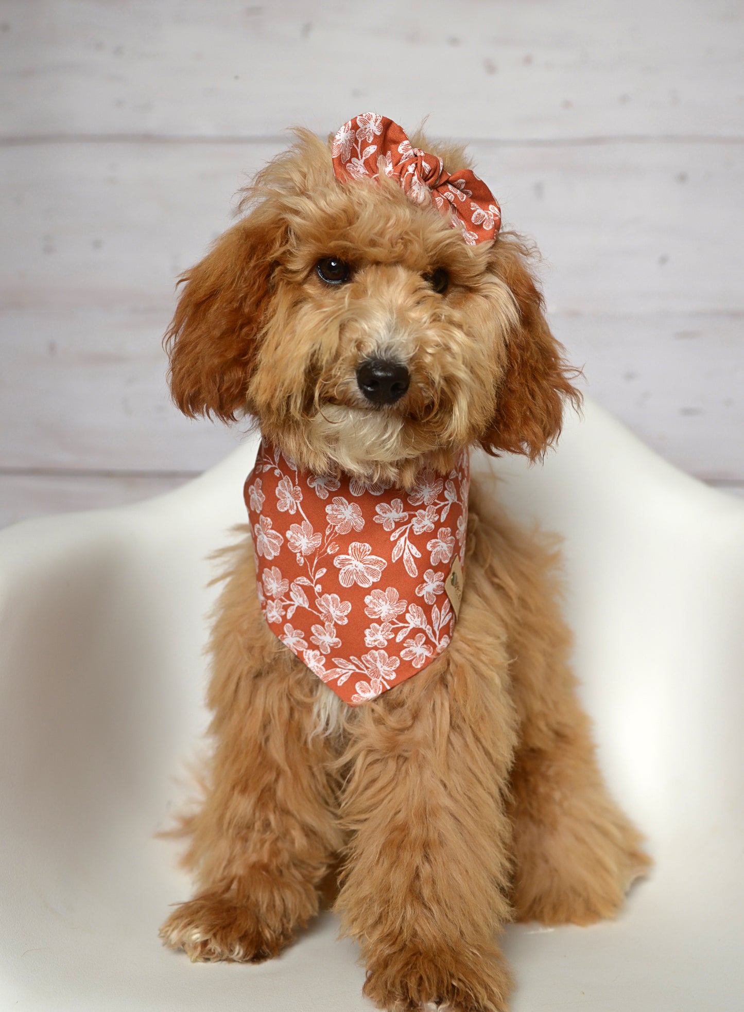 Rust Floral Dog Bandana