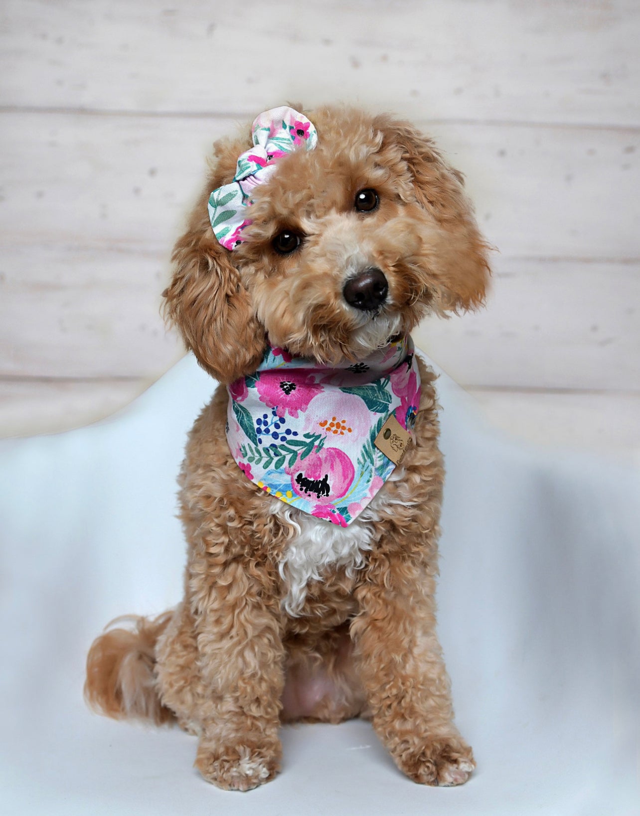 Bali Dog Bandana