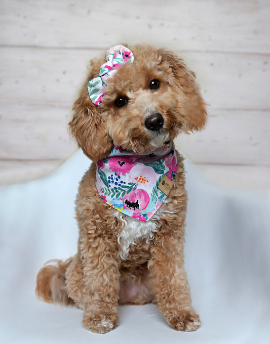 Bali Dog Bandana