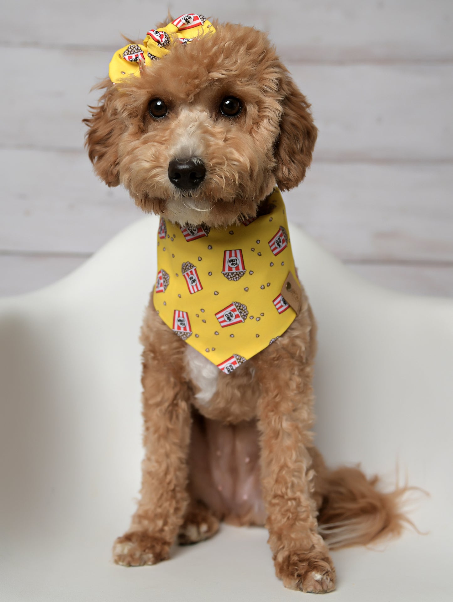 Pop Corn Dog Bandana