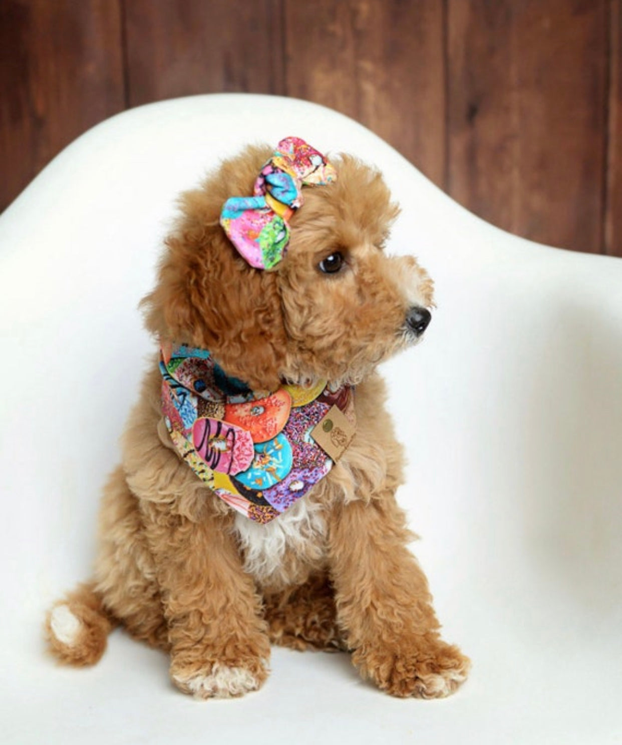 Donuts Dog Bandana