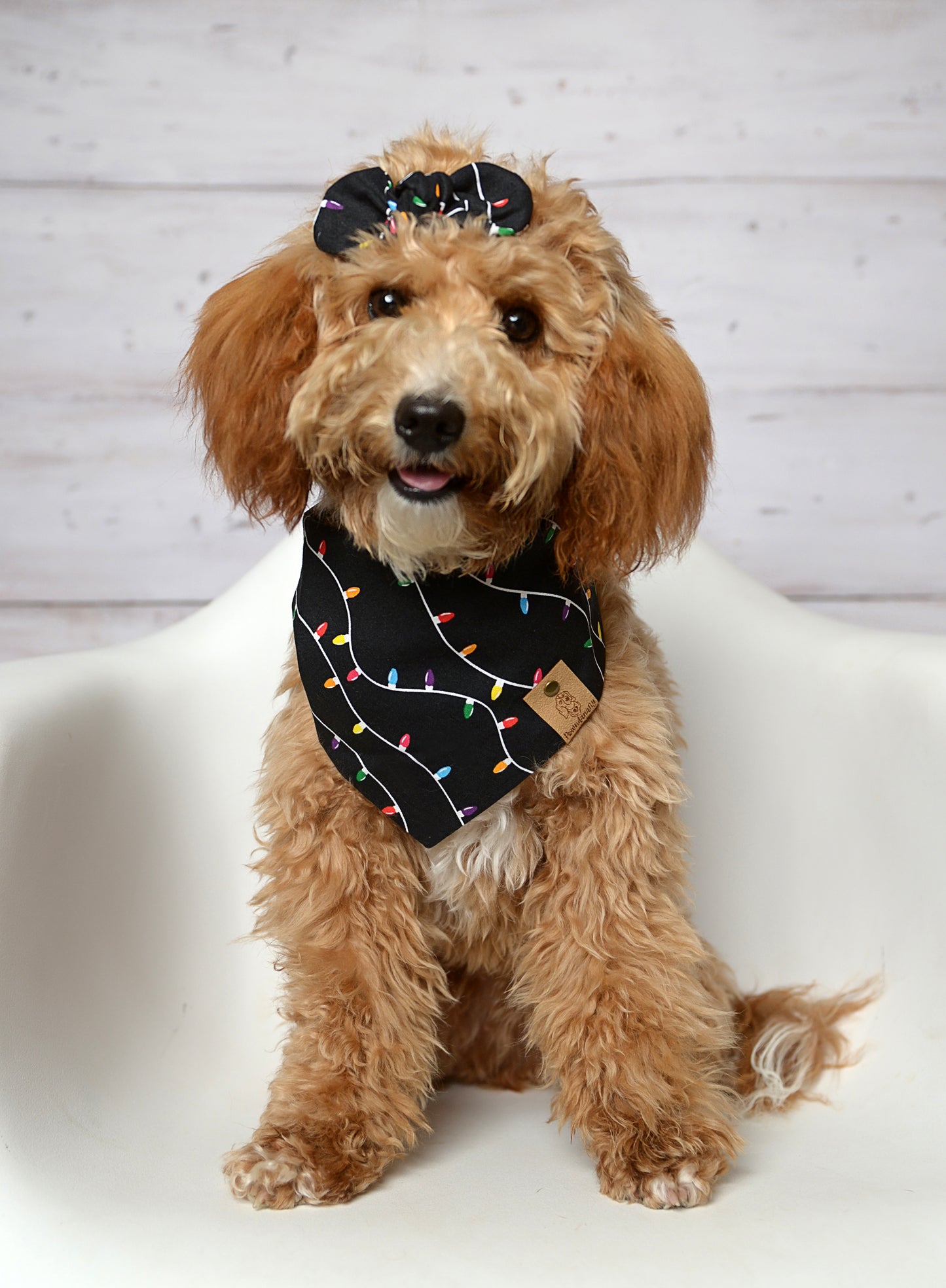 Christmas Lights Black Dog Bandana