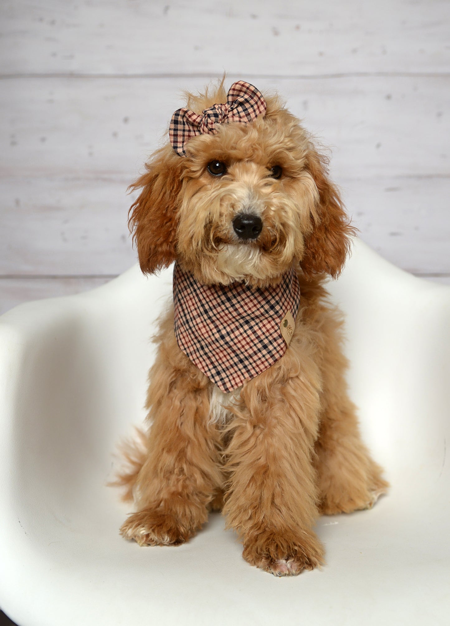 Raisin Plaid Bandana