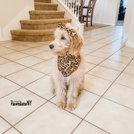 Leopard Dog Bandana