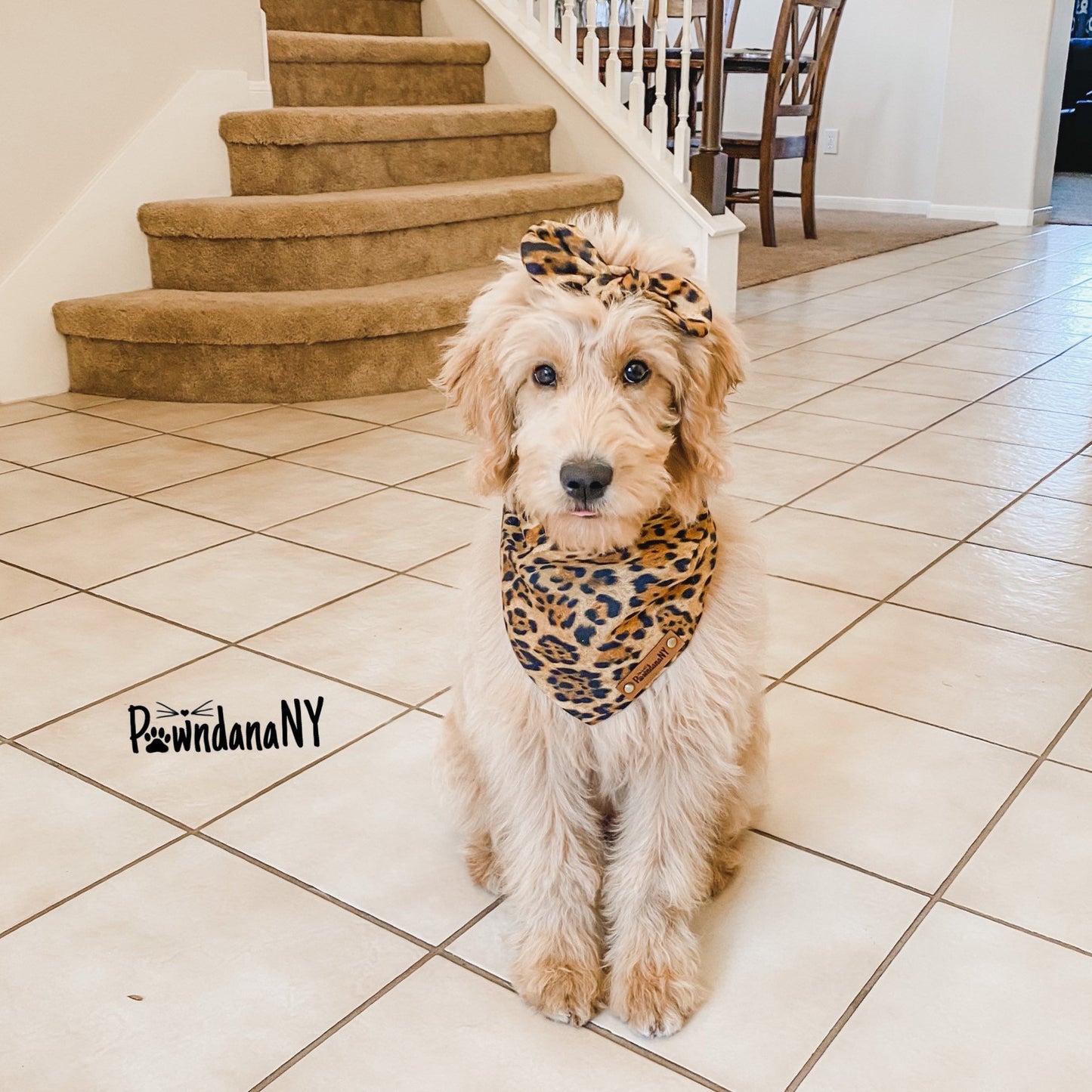 Leopard Dog Bandana