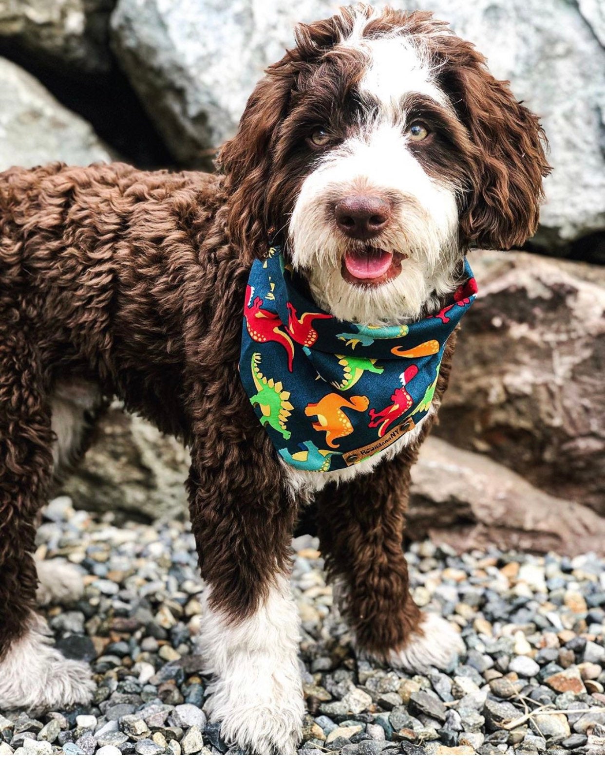 Dinosaur Dog Bandana