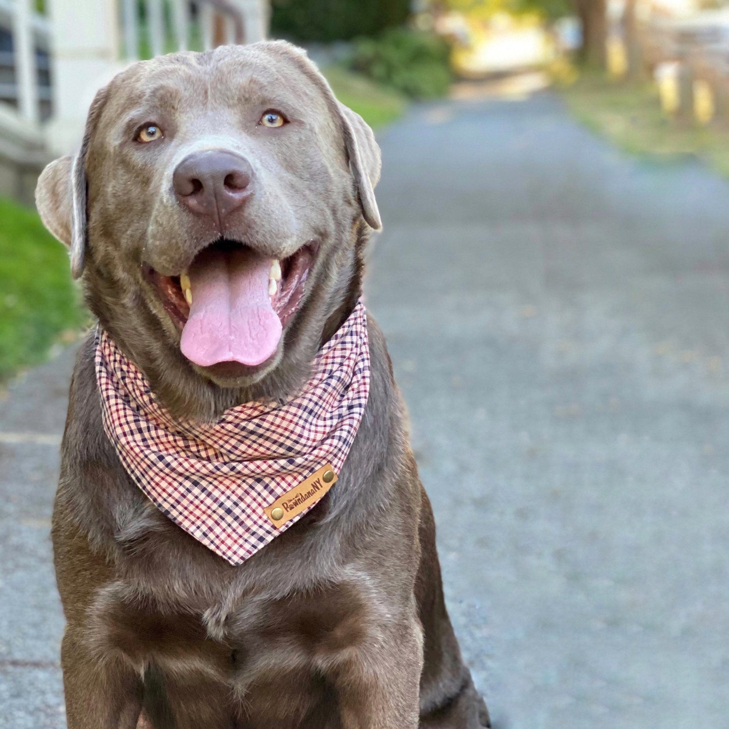 Raisin Plaid Bandana