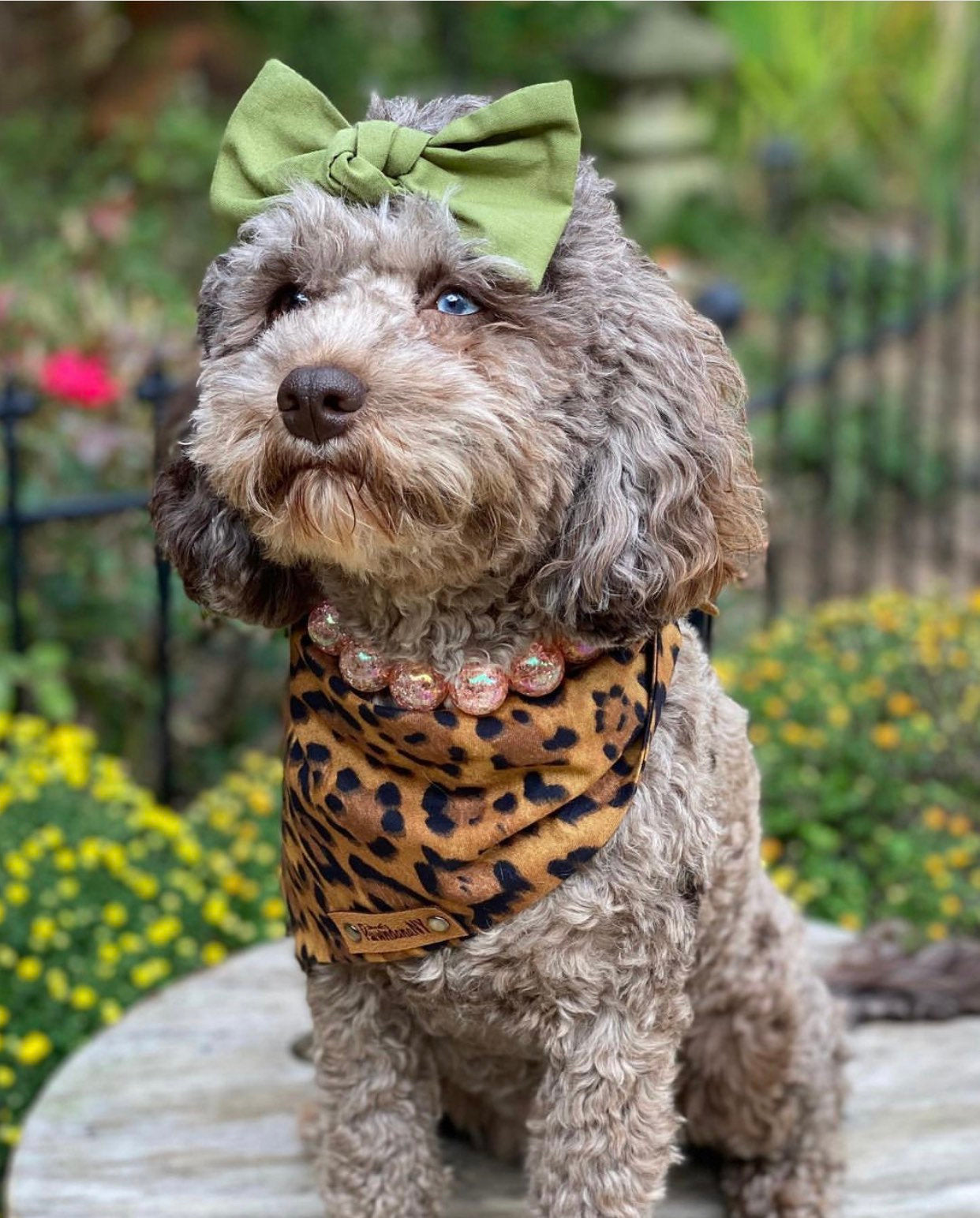 Leopard Dog Bandana