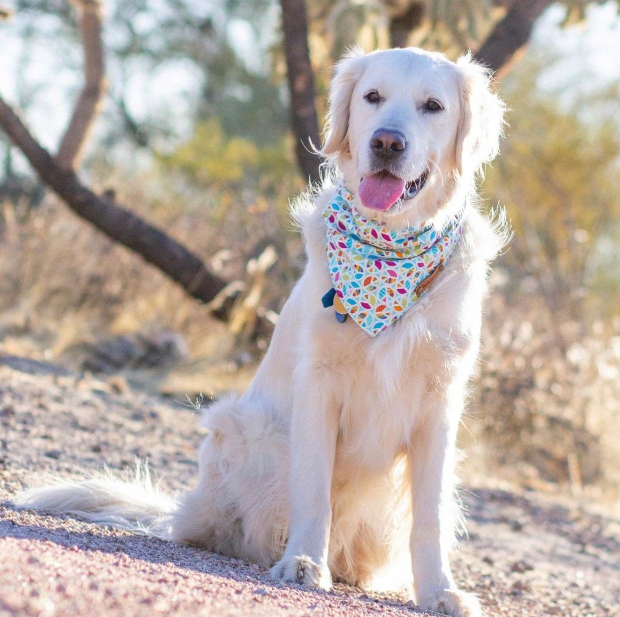 Peace Dog Bandana