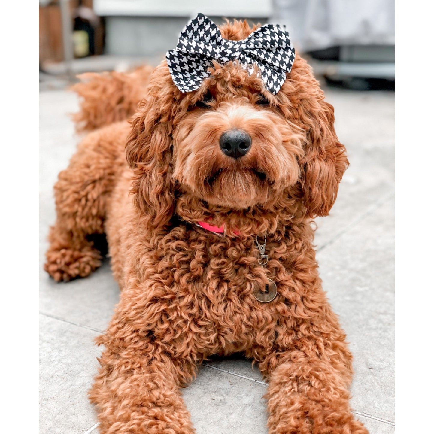 Houndstooth Pinwheel Dog Hair Bow