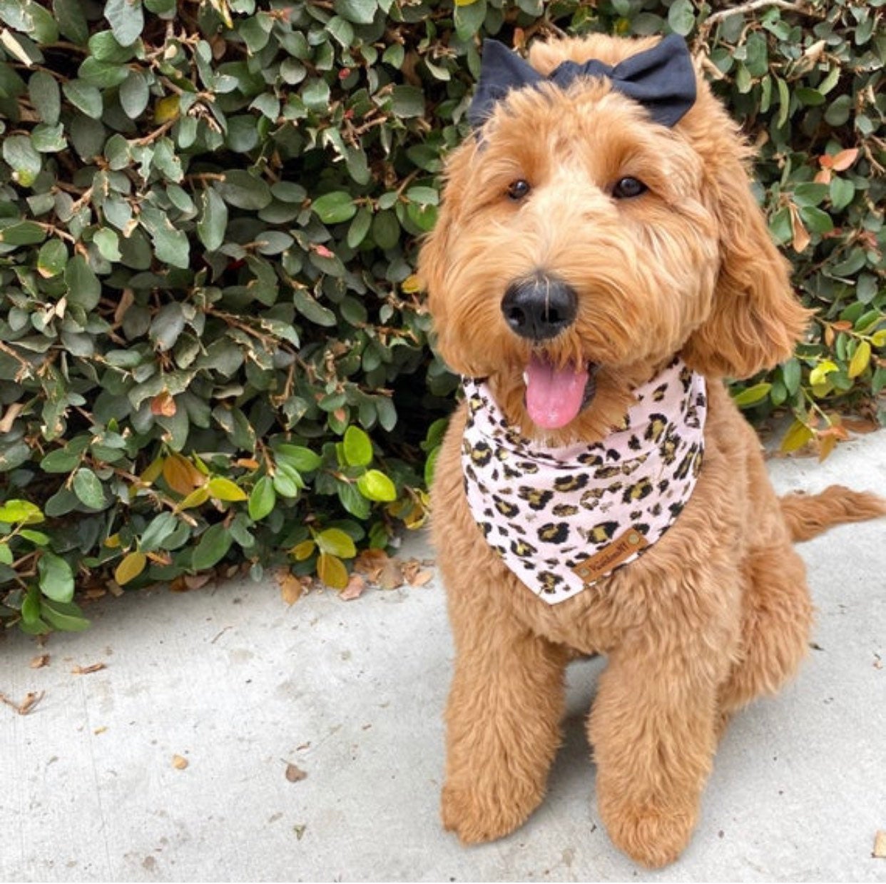 Pink Gold Leopard Dog Bandana