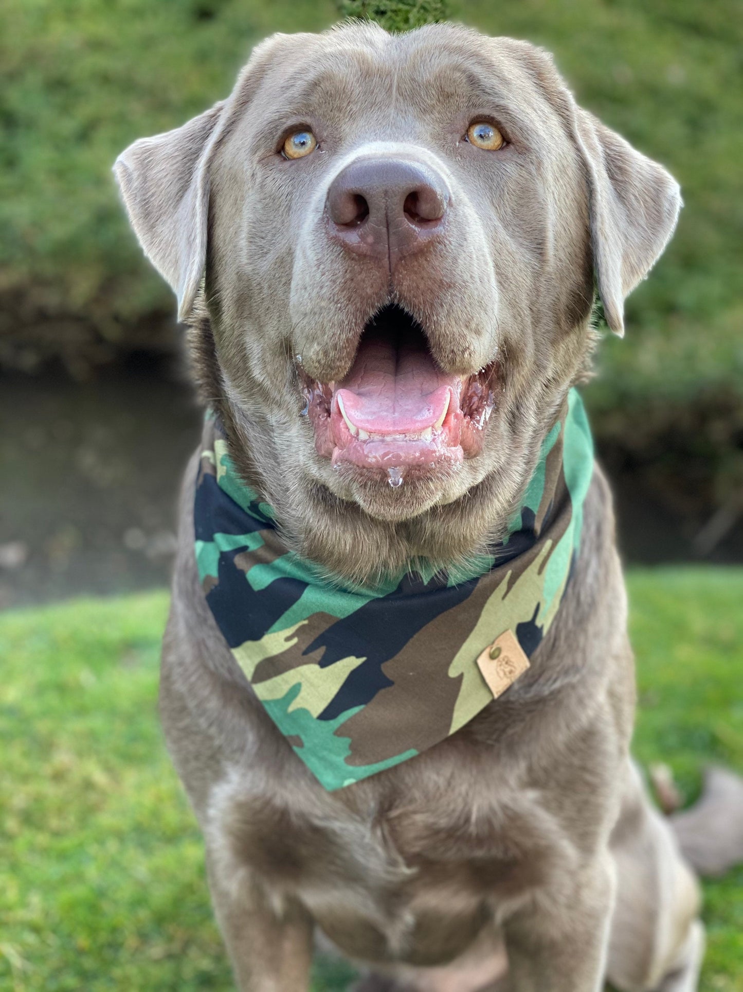 Camo Dog Bandana