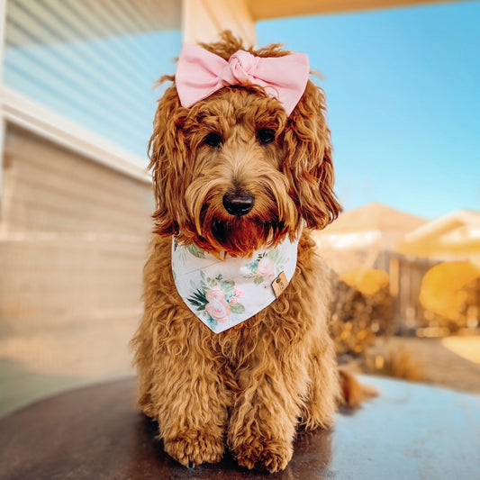 Roses Dog Bandana