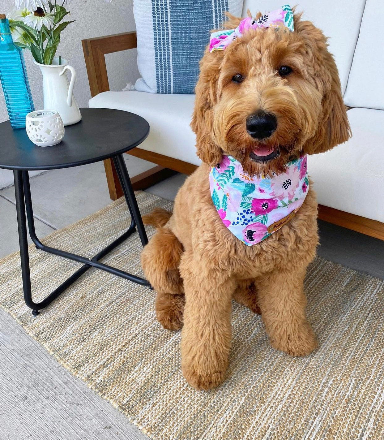 Bali Dog Bandana