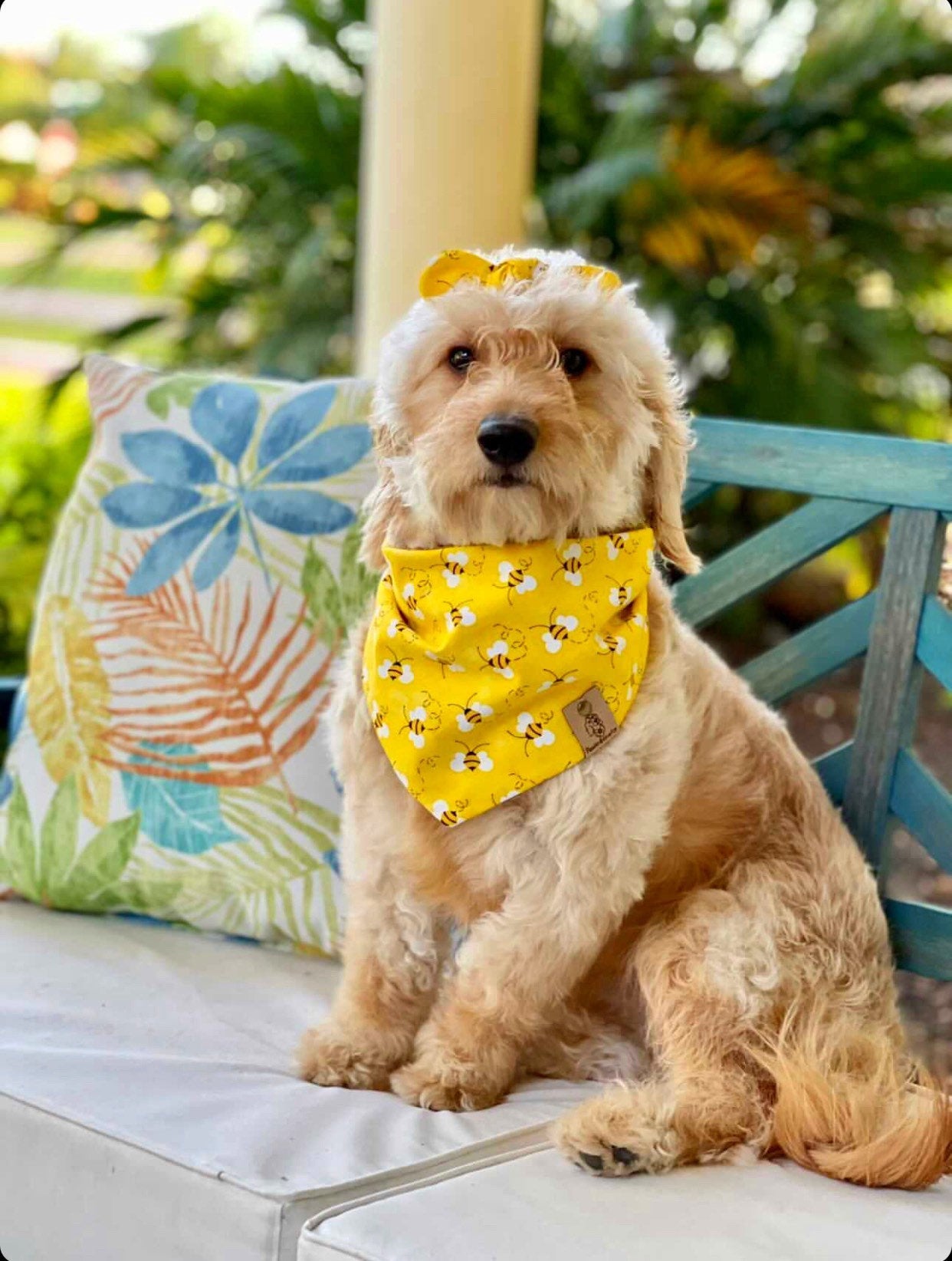 Bees Dog Bandana