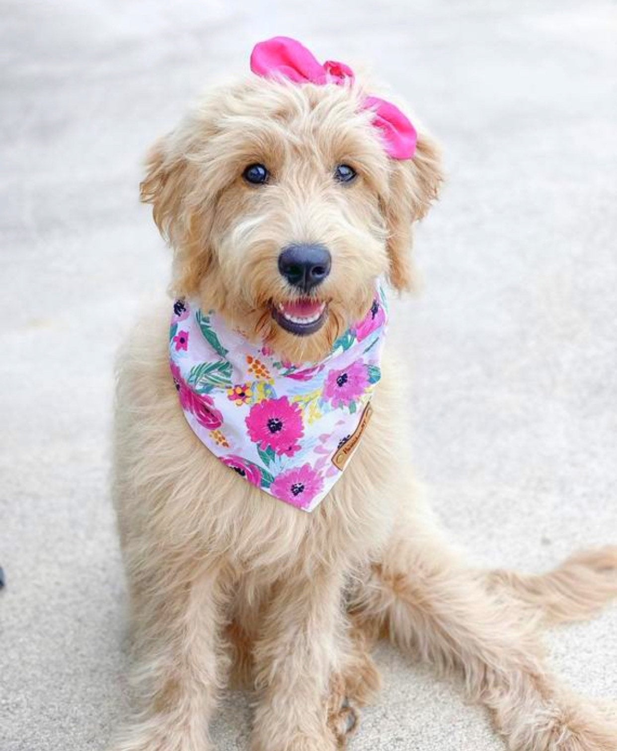 Bali Dog Bandana