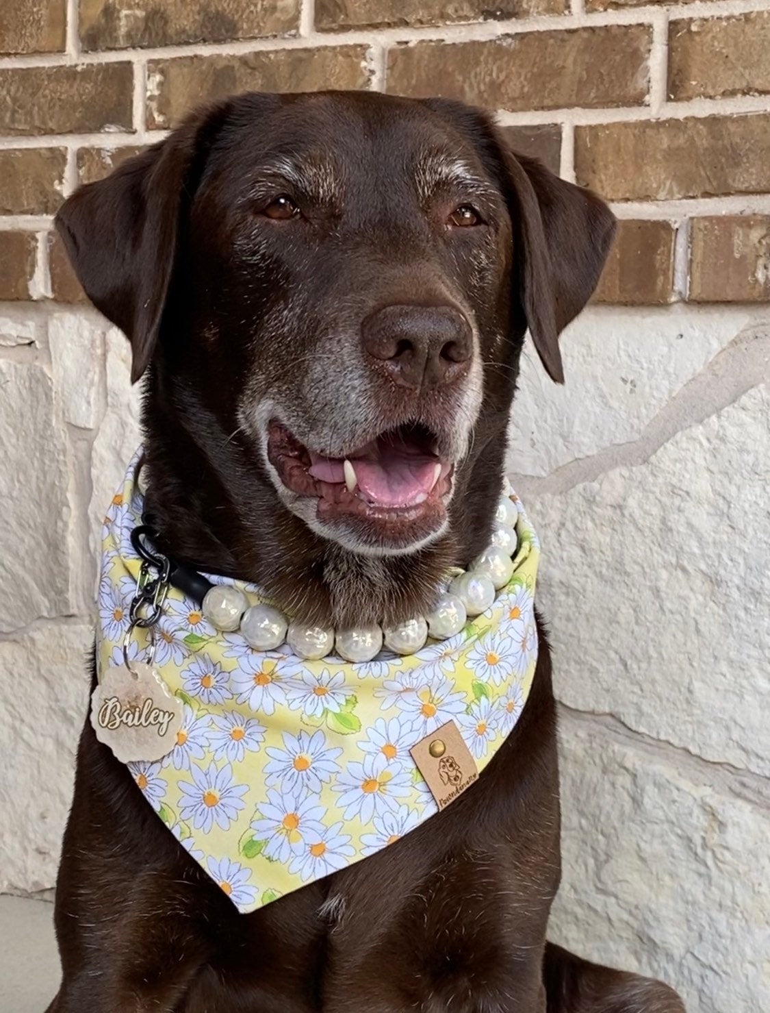 Yellow Daisy Dog Bandana