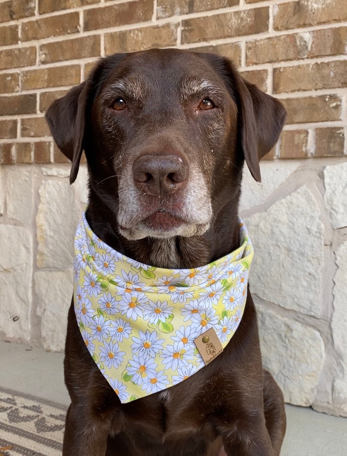 Yellow Daisy Dog Bandana