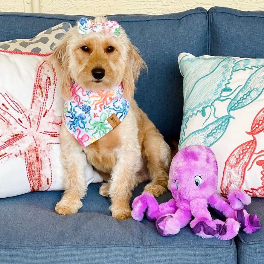 Octopus Dog Bandana